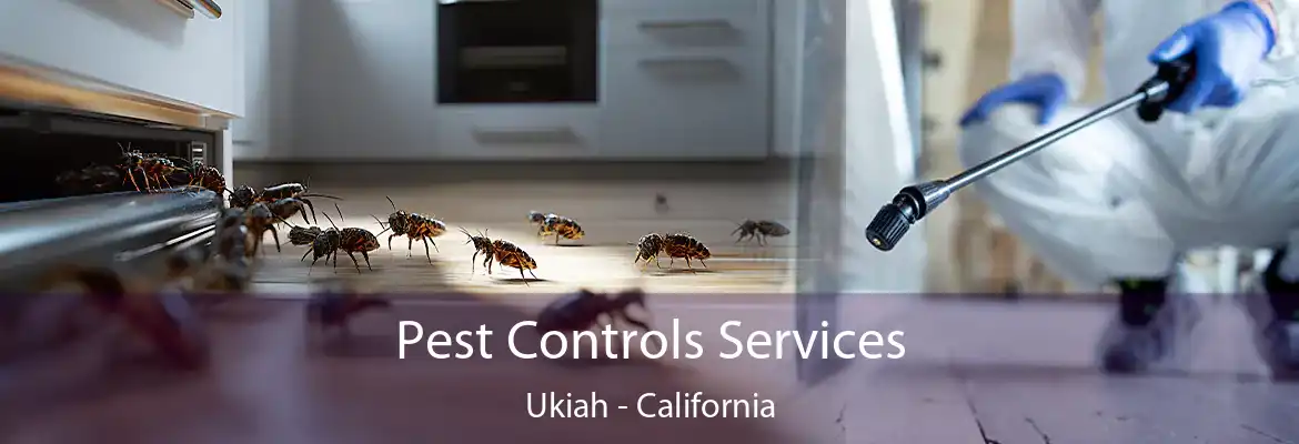 Pest Controls Services Ukiah - California