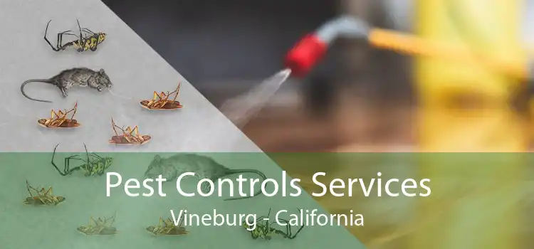 Pest Controls Services Vineburg - California