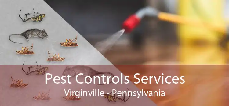 Pest Controls Services Virginville - Pennsylvania