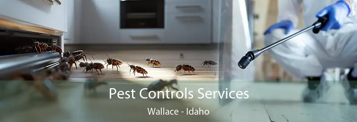 Pest Controls Services Wallace - Idaho