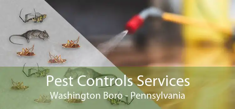 Pest Controls Services Washington Boro - Pennsylvania