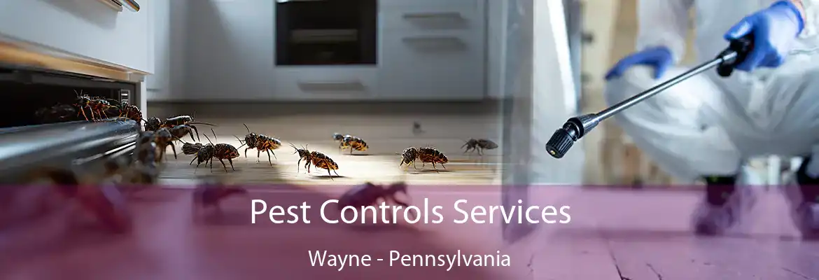 Pest Controls Services Wayne - Pennsylvania