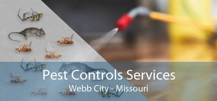 Pest Controls Services Webb City - Missouri