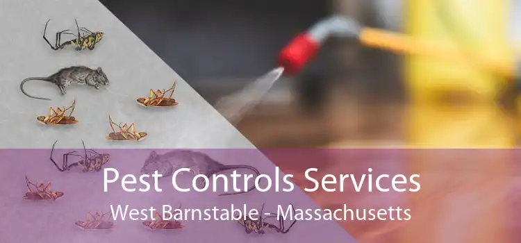 Pest Controls Services West Barnstable - Massachusetts