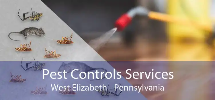 Pest Controls Services West Elizabeth - Pennsylvania