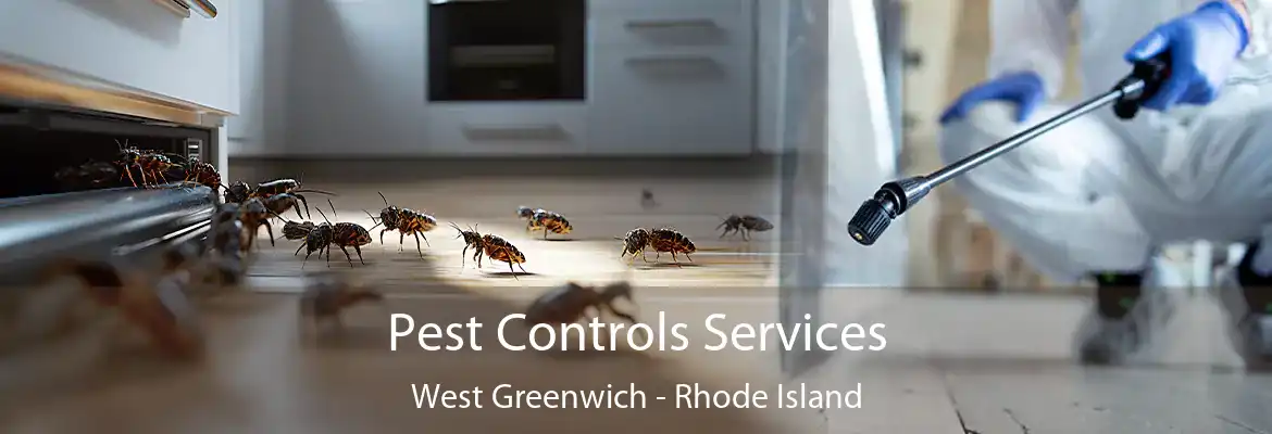Pest Controls Services West Greenwich - Rhode Island