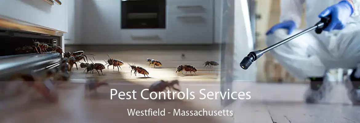 Pest Controls Services Westfield - Massachusetts