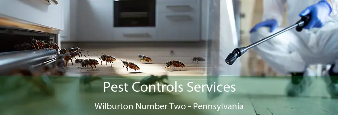 Pest Controls Services Wilburton Number Two - Pennsylvania