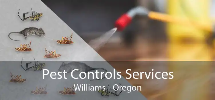 Pest Controls Services Williams - Oregon