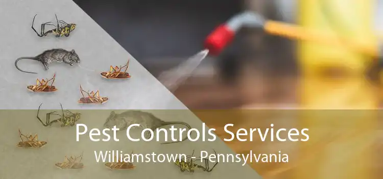 Pest Controls Services Williamstown - Pennsylvania