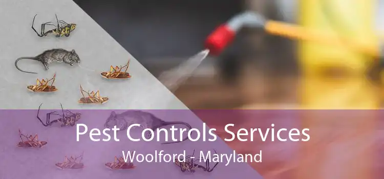 Pest Controls Services Woolford - Maryland