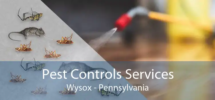 Pest Controls Services Wysox - Pennsylvania