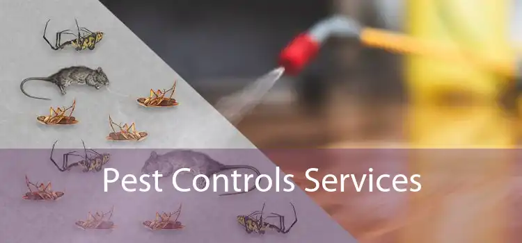 Pest Controls Services 