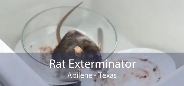 Rat Exterminator Abilene - Texas