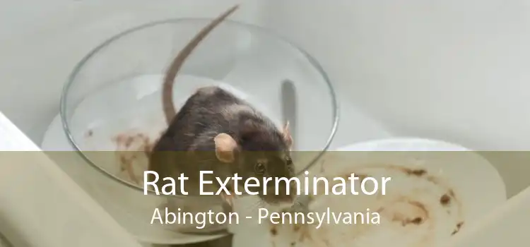 Rat Exterminator Abington - Pennsylvania