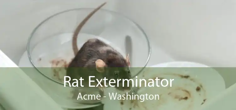 Rat Exterminator Acme - Washington