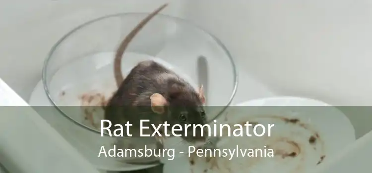 Rat Exterminator Adamsburg - Pennsylvania