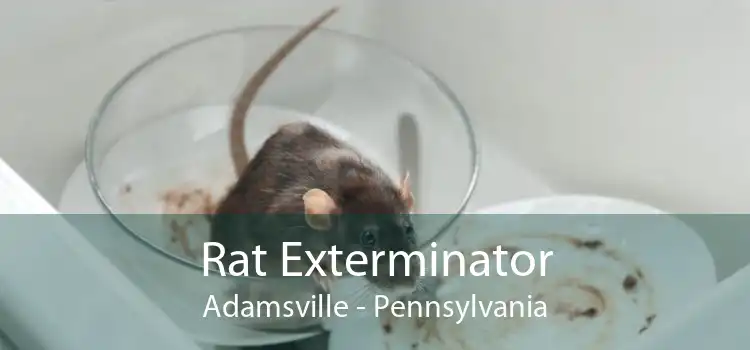 Rat Exterminator Adamsville - Pennsylvania