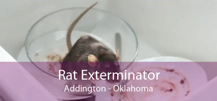 Rat Exterminator Addington - Oklahoma
