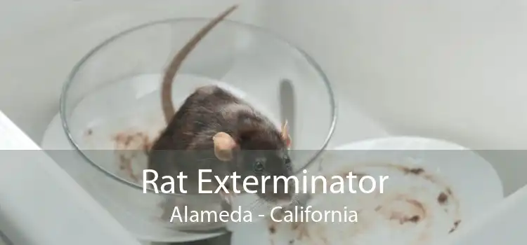 Rat Exterminator Alameda - California
