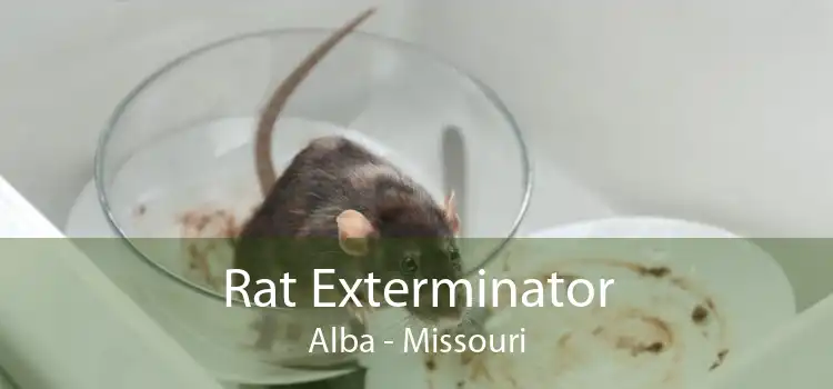 Rat Exterminator Alba - Missouri