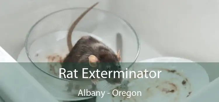 Rat Exterminator Albany - Oregon