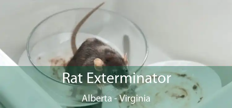 Rat Exterminator Alberta - Virginia