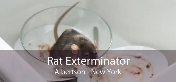 Rat Exterminator Albertson - New York