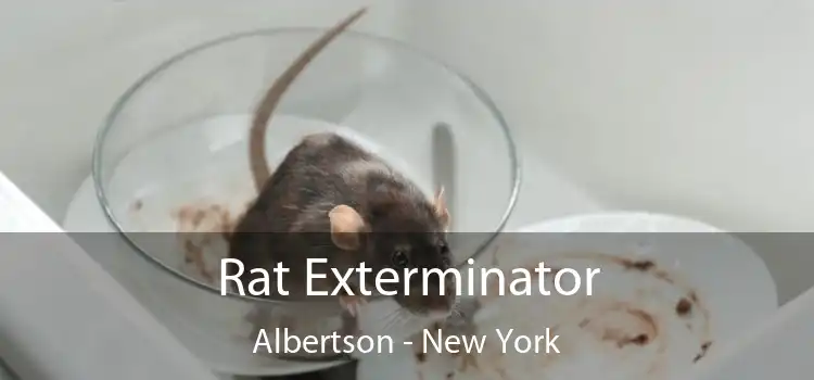 Rat Exterminator Albertson - New York