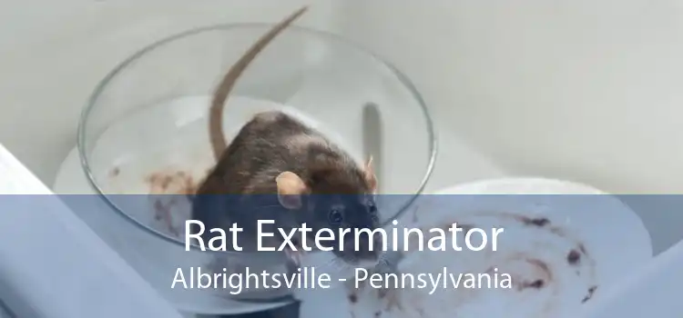 Rat Exterminator Albrightsville - Pennsylvania