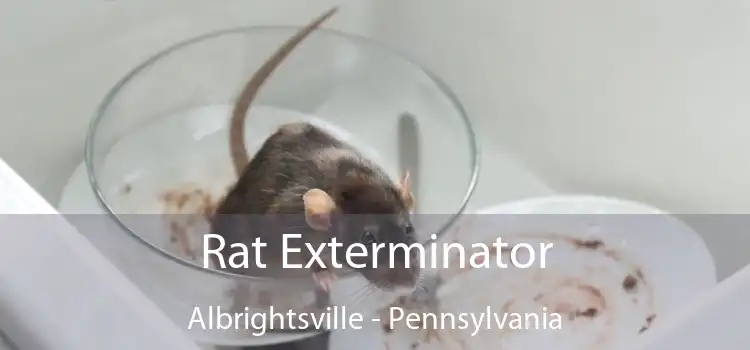 Rat Exterminator Albrightsville - Pennsylvania