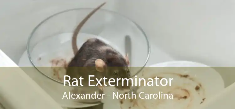 Rat Exterminator Alexander - North Carolina