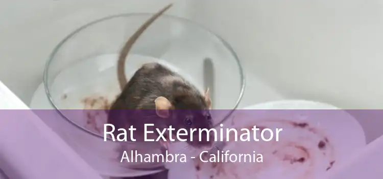 Rat Exterminator Alhambra - California