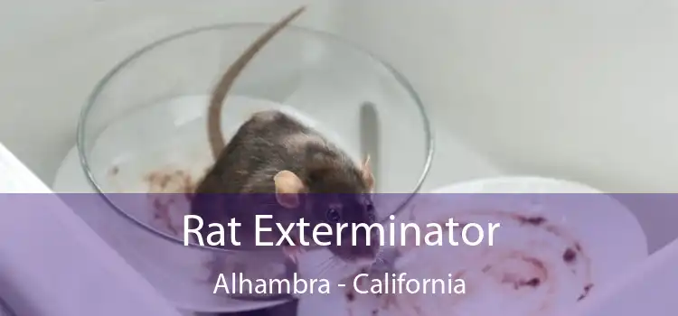 Rat Exterminator Alhambra - California