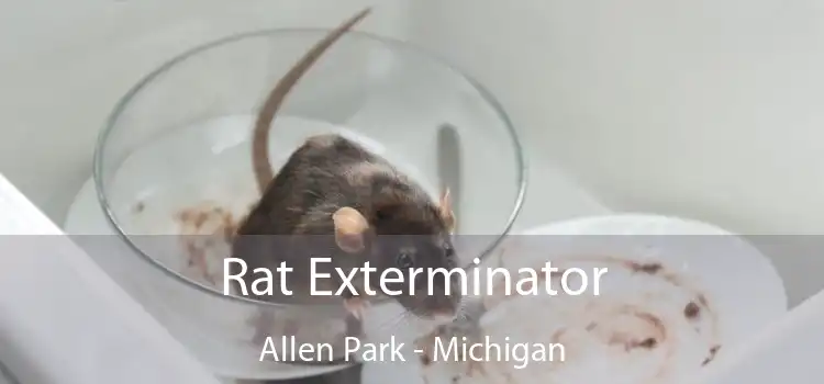 Rat Exterminator Allen Park - Michigan