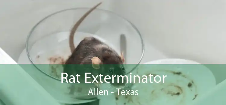 Rat Exterminator Allen - Texas