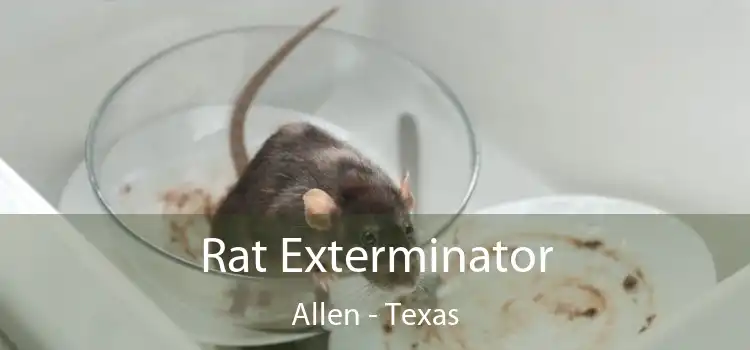 Rat Exterminator Allen - Texas