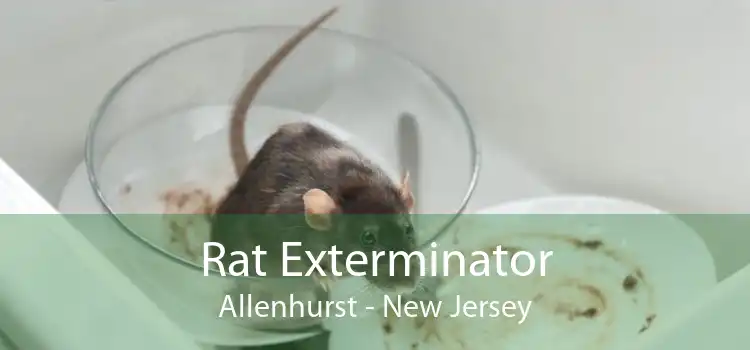 Rat Exterminator Allenhurst - New Jersey