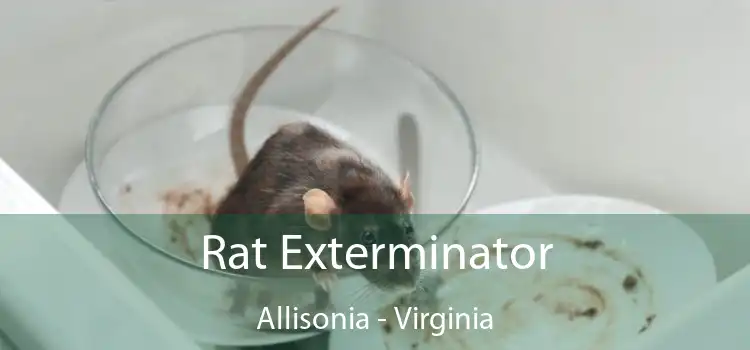 Rat Exterminator Allisonia - Virginia