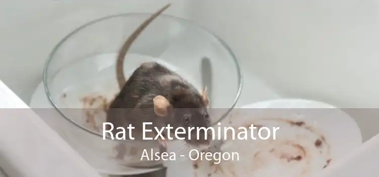 Rat Exterminator Alsea - Oregon