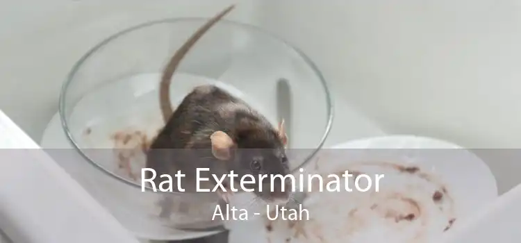 Rat Exterminator Alta - Utah