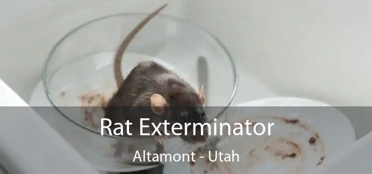 Rat Exterminator Altamont - Utah