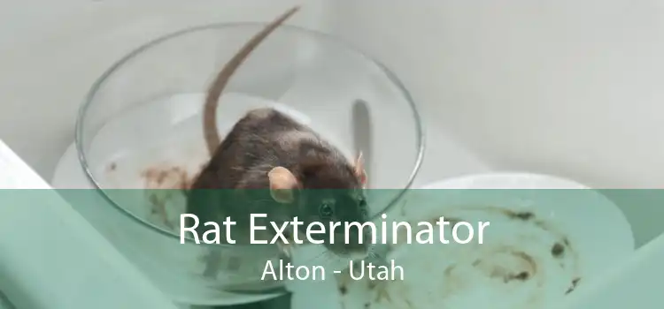 Rat Exterminator Alton - Utah