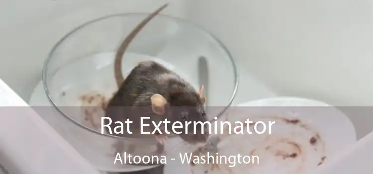 Rat Exterminator Altoona - Washington