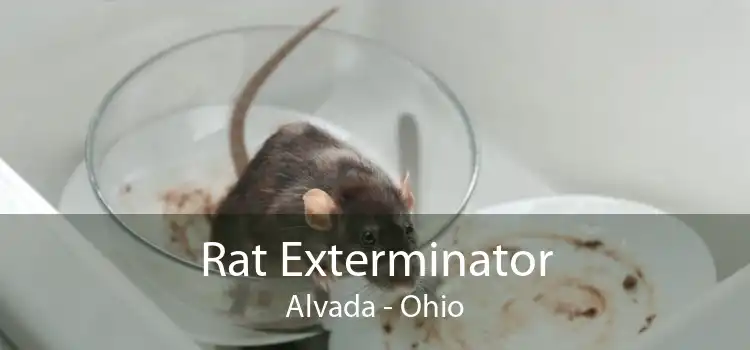 Rat Exterminator Alvada - Ohio