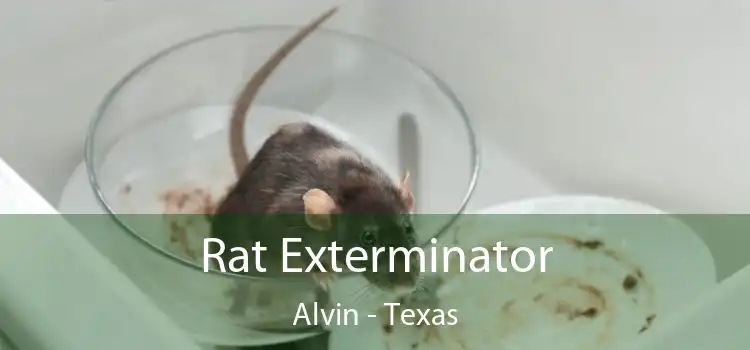 Rat Exterminator Alvin - Texas