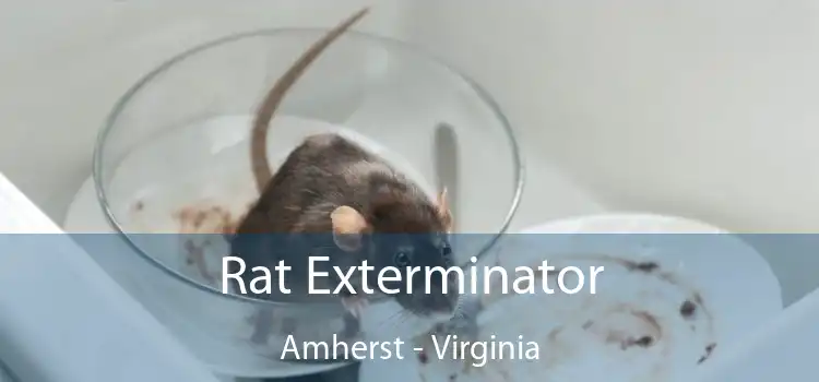 Rat Exterminator Amherst - Virginia