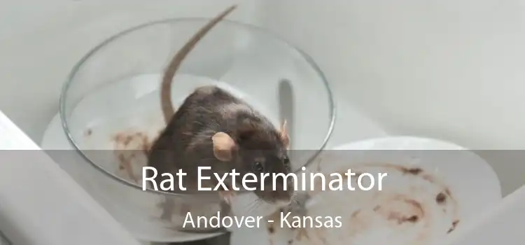 Rat Exterminator Andover - Kansas