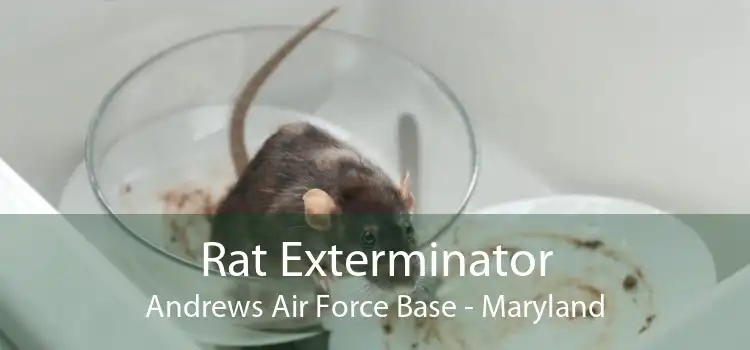 Rat Exterminator Andrews Air Force Base - Maryland