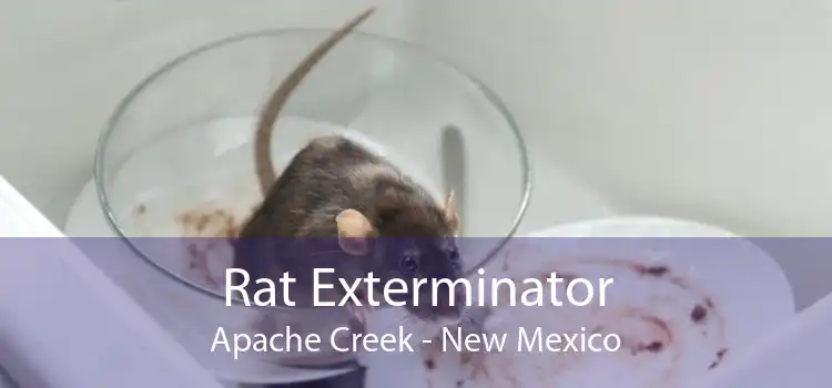 Rat Exterminator Apache Creek - New Mexico